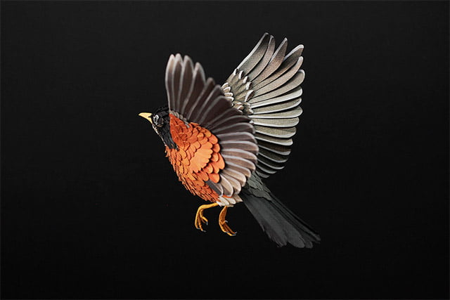 Extraordinary Bird Paper Cut Sculptures By Colombian Artist And Designer Diana Beltran Herrera 11