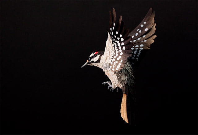 Extraordinary Bird Paper Cut Sculptures By Colombian Artist And Designer Diana Beltran Herrera 12