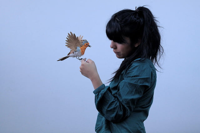 Extraordinary Bird Paper Cut Sculptures By Colombian Artist And Designer Diana Beltran Herrera 13