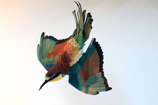 Extraordinary Bird Paper Cut Sculptures By Colombian Artist And Designer Diana Beltran Herrera 14