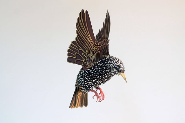 Extraordinary Bird Paper Cut Sculptures By Colombian Artist And Designer Diana Beltran Herrera 15