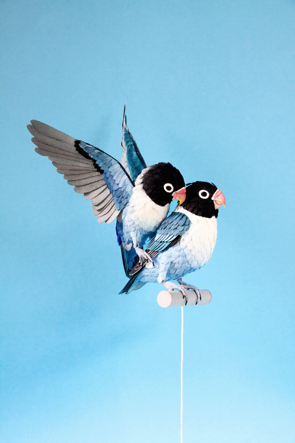 Extraordinary Bird Paper Cut Sculptures By Colombian Artist And Designer Diana Beltran Herrera 1