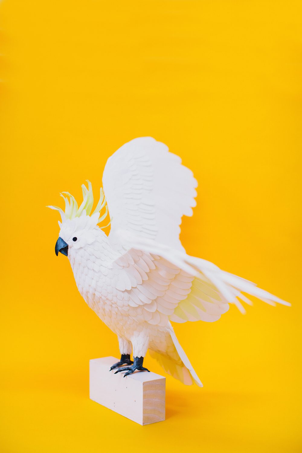 Extraordinary Bird Paper Cut Sculptures By Colombian Artist And Designer Diana Beltran Herrera 23