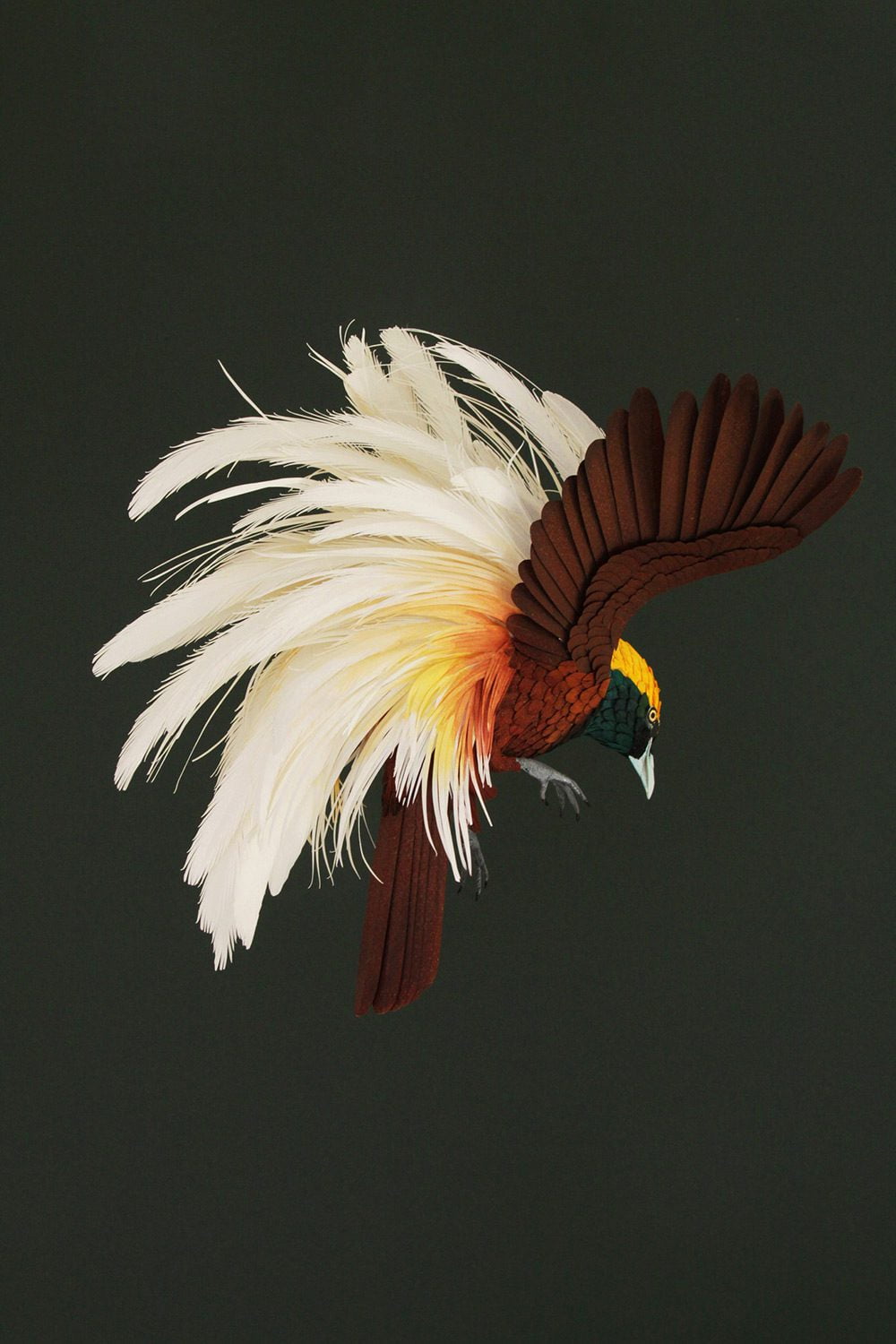 Extraordinary Bird Paper Cut Sculptures By Colombian Artist And Designer Diana Beltran Herrera 3