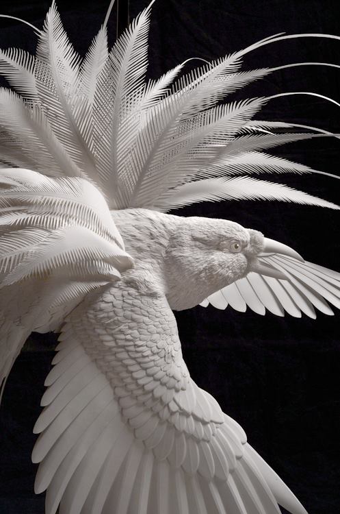 Amazingly Intricate Paper Sculptures Of Animals And Natural Landscapes By Calvin Nicholls 33