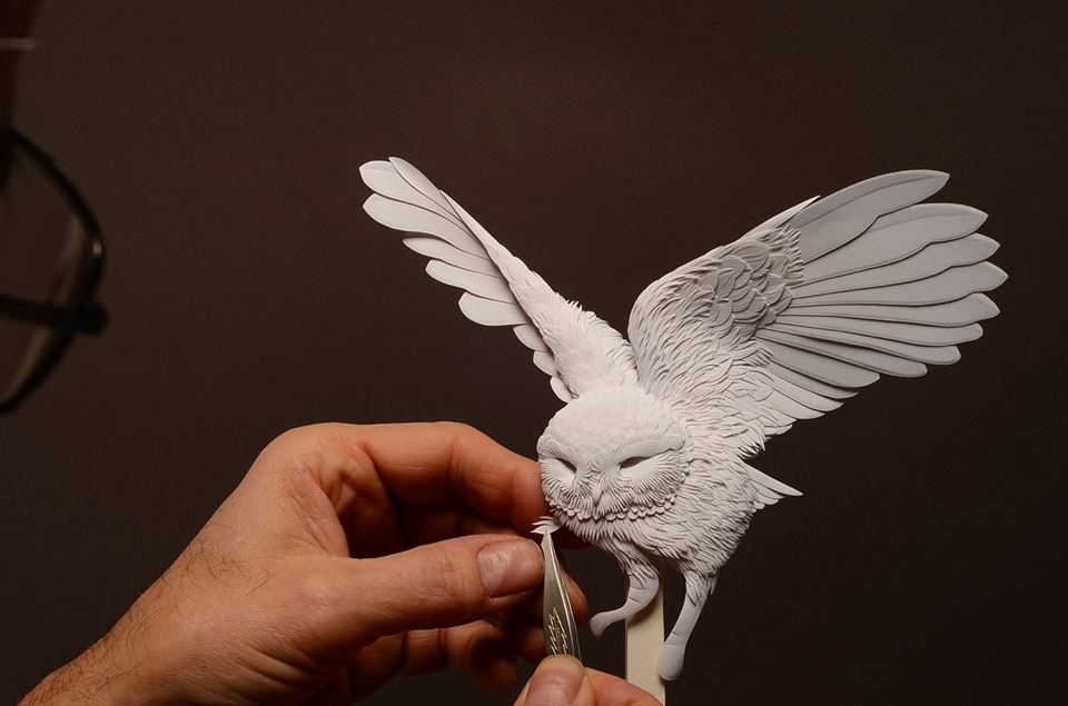 Amazingly Intricate Paper Sculptures Of Animals And Natural Landscapes By Calvin Nicholls 37