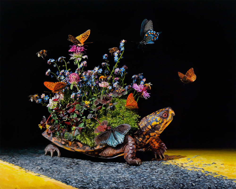 Astonishingly Photo Realistic Surreal Paintings Of Fauna And Flora By Lisa Ericson 4
