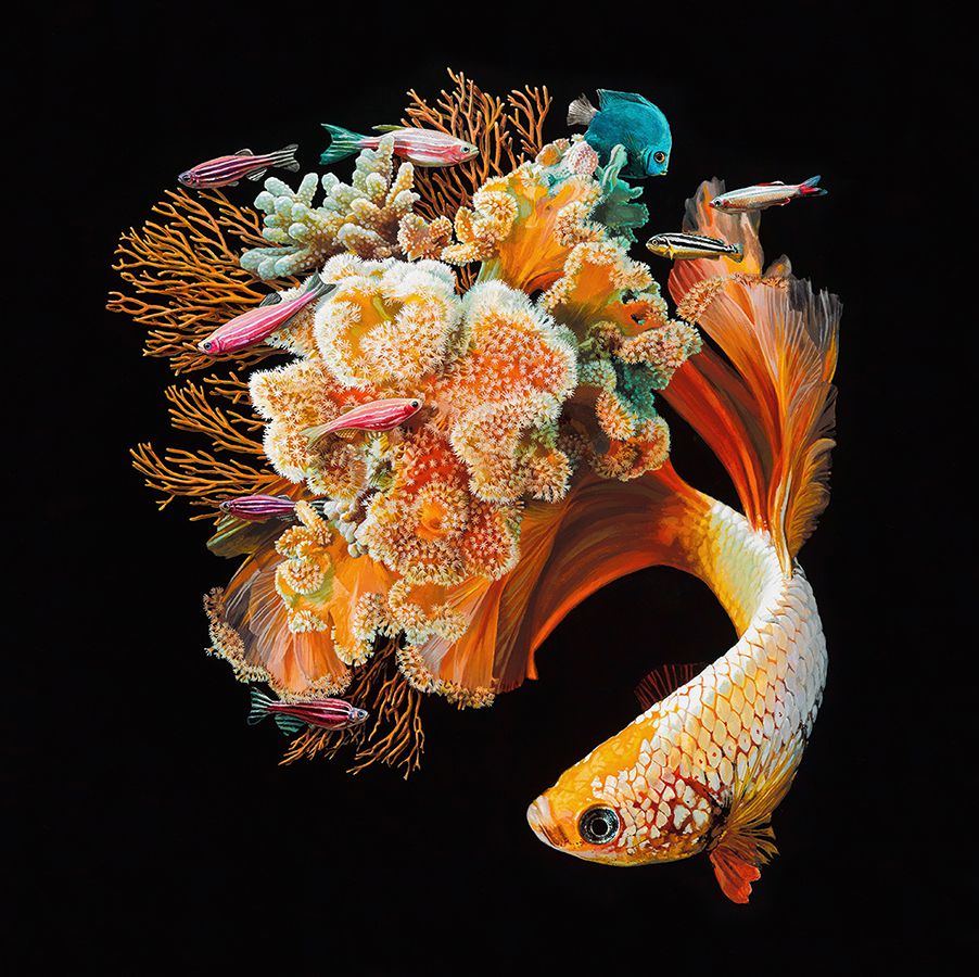 Astonishingly Photo Realistic Surreal Paintings Of Fauna And Flora By Lisa Ericson 7