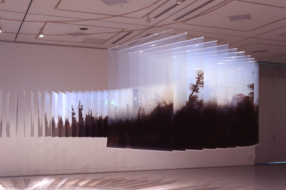 Layer Drawings Gorgeous Sculptures Of Three Dimensional Landscapes Formed With Layered Acrylic Photographs By Nobuhiro Nakanishi 5