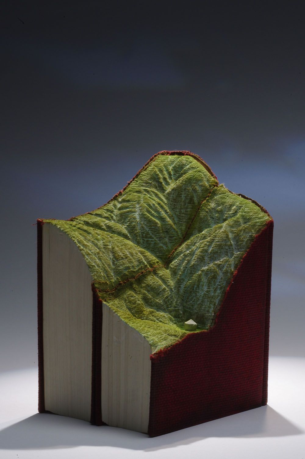 Artist Guy Laramee Turns Old Books Into Stunningly Natural Landscape Sculptures 24