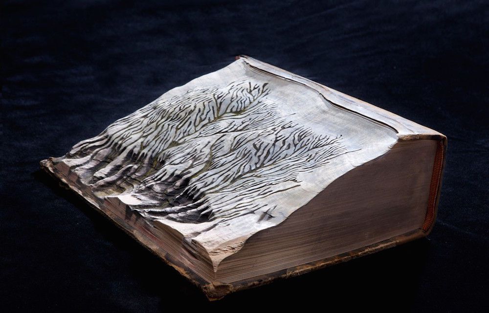 Artist Guy Laramee Turns Old Books Into Stunningly Natural Landscape Sculptures 6