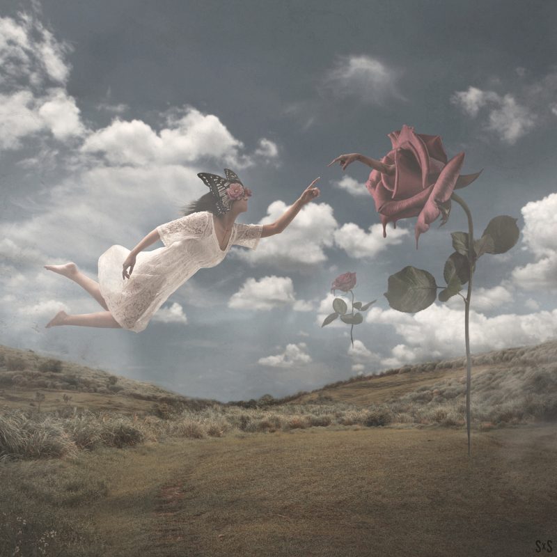 Obscurely Surreal Photo Manipulations By Steven Kin 2