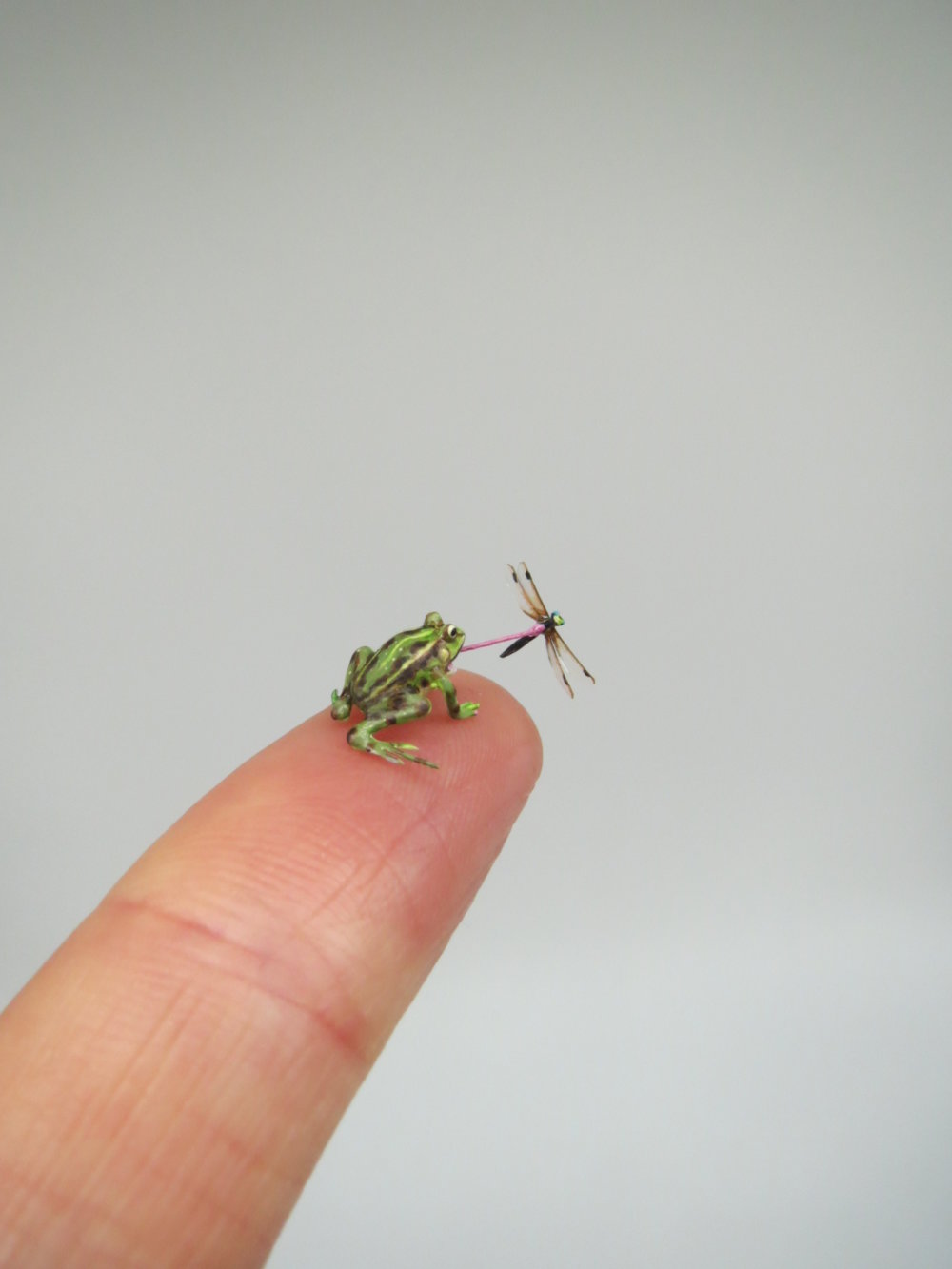 Hyper Accurate Miniature Animals By Fanni Sandor 13