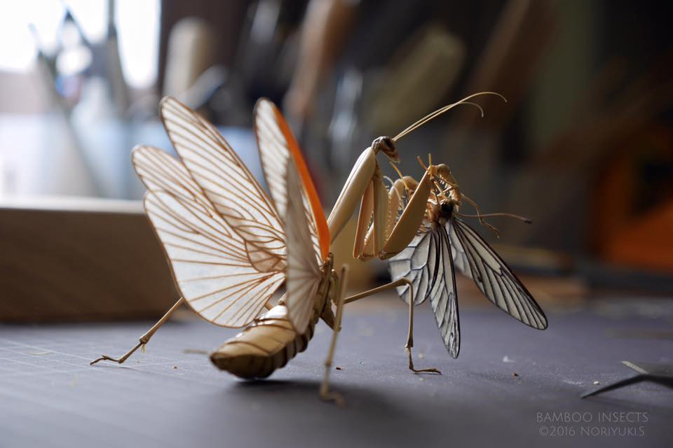 Intricate Life Like Insect Sculptures Made From Bamboo By Noriyuki Saitoh 1
