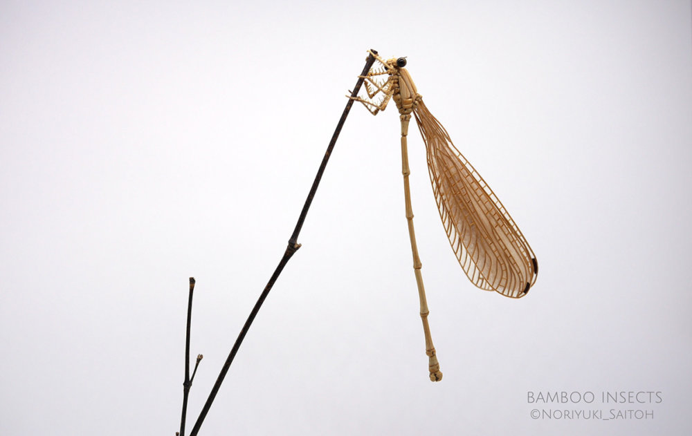 Intricate Life Like Insect Sculptures Made From Bamboo By Noriyuki Saitoh 10