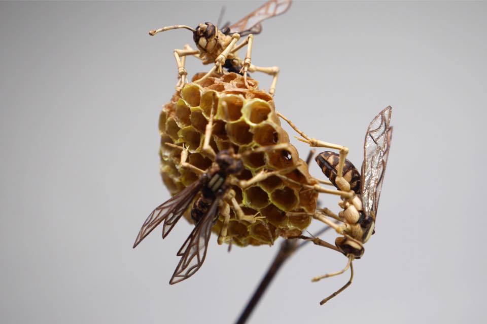 Intricate Life Like Insect Sculptures Made From Bamboo By Noriyuki Saitoh 12