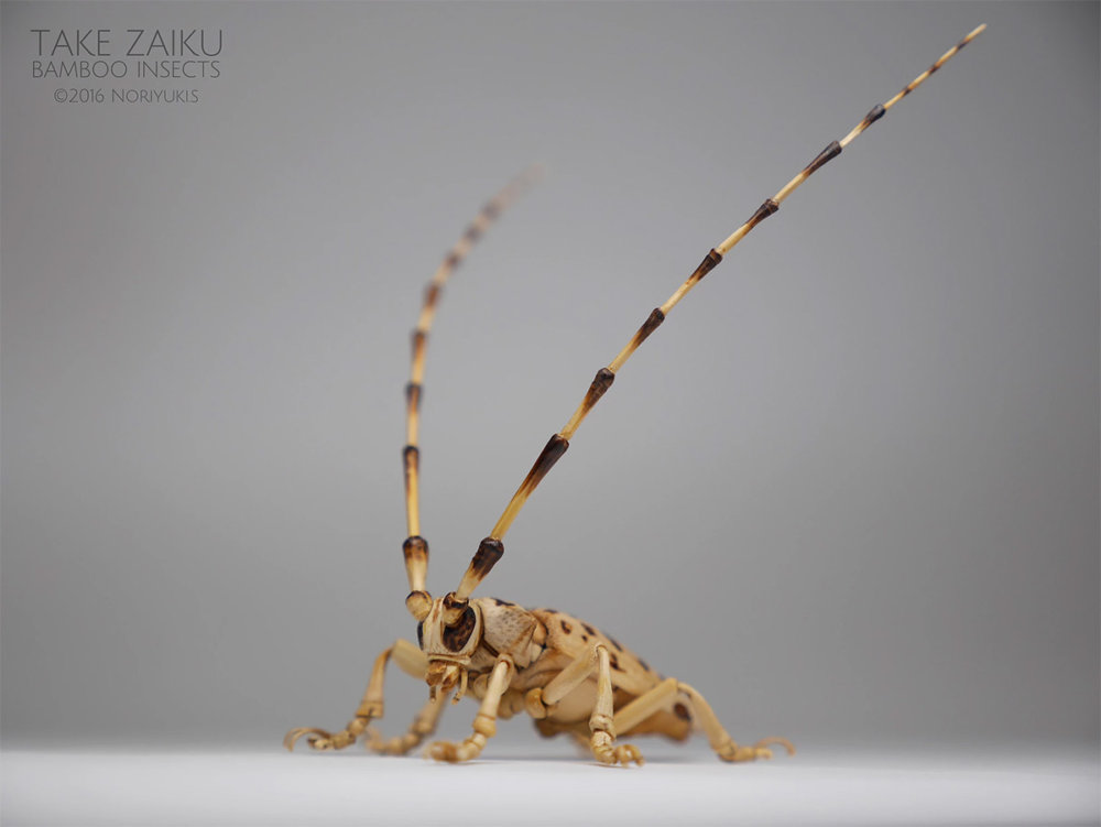 Intricate Life Like Insect Sculptures Made From Bamboo By Noriyuki Saitoh 14