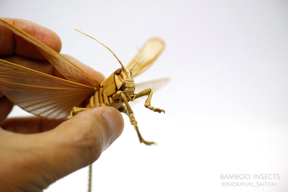 Intricate Life Like Insect Sculptures Made From Bamboo By Noriyuki Saitoh 16