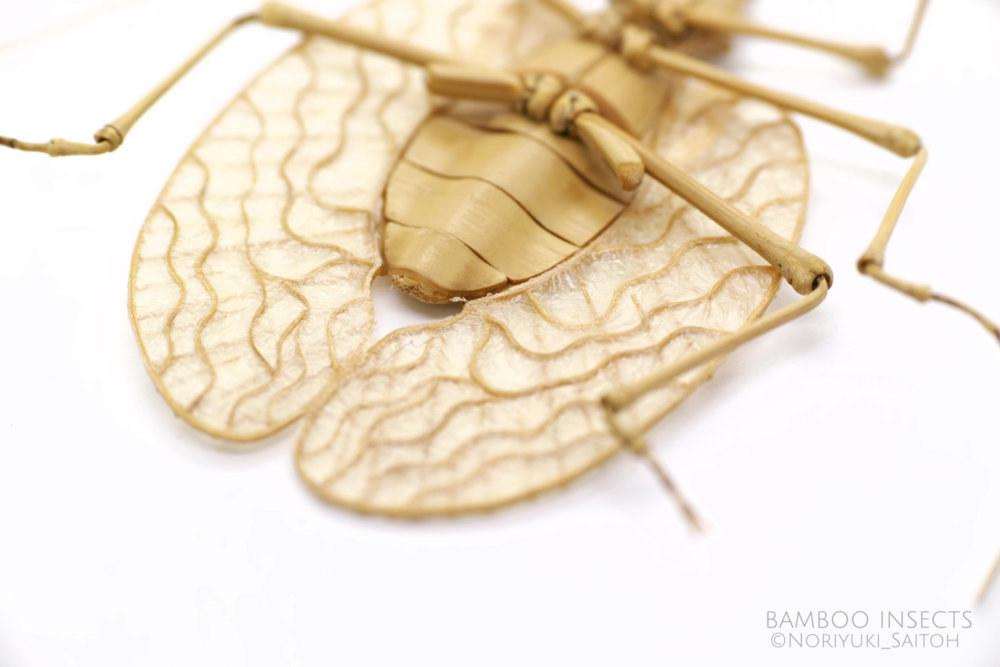 Intricate Life Like Insect Sculptures Made From Bamboo By Noriyuki Saitoh 18