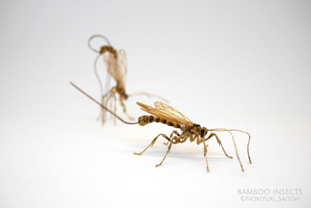 Intricate Life Like Insect Sculptures Made From Bamboo By Noriyuki Saitoh 19