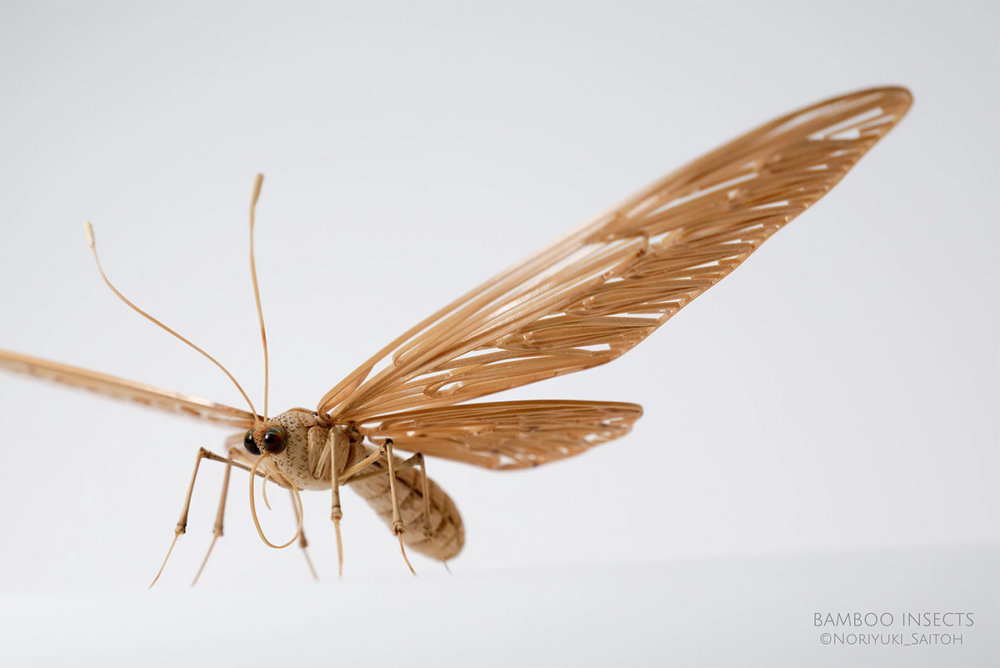 Intricate Life Like Insect Sculptures Made From Bamboo By Noriyuki Saitoh 5