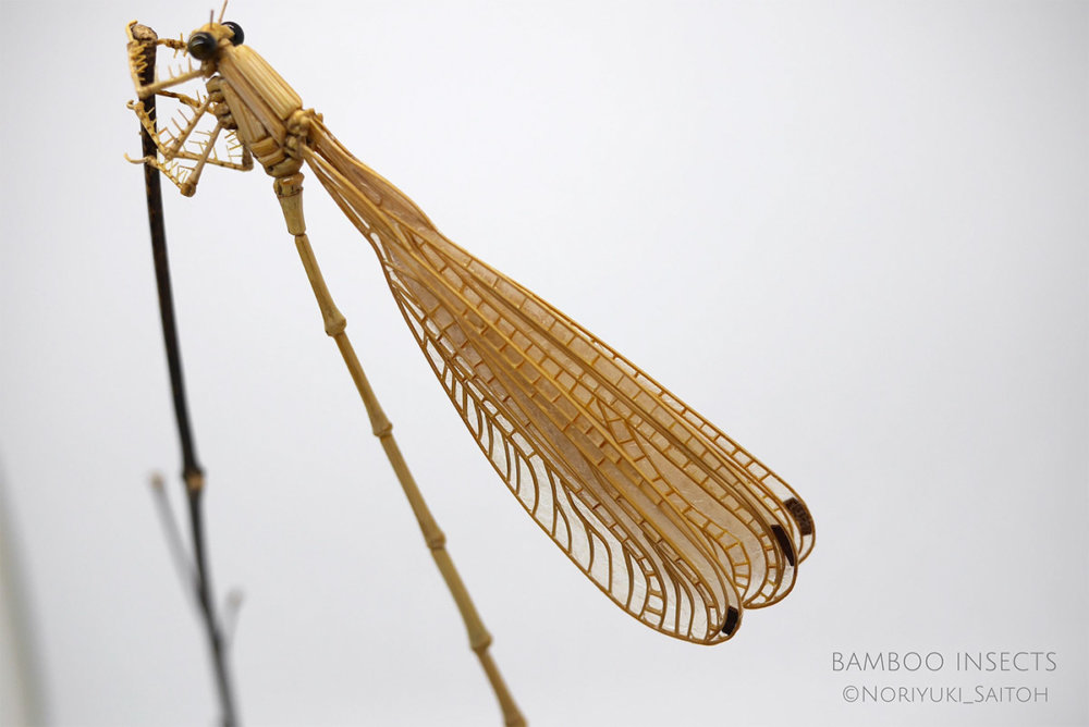 Intricate Life Like Insect Sculptures Made From Bamboo By Noriyuki Saitoh 9