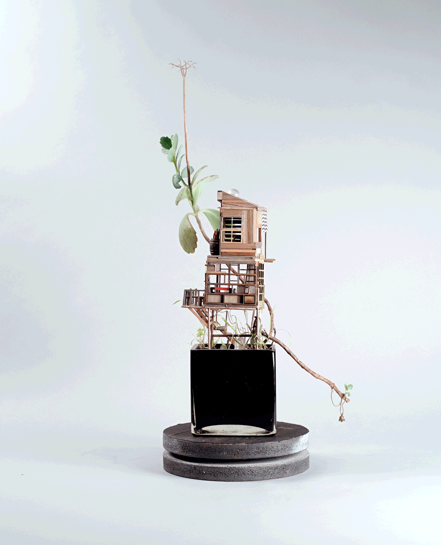Somewhere Small Tree Houses In Miniature By Jedediah Corwyn Voltz Gif4