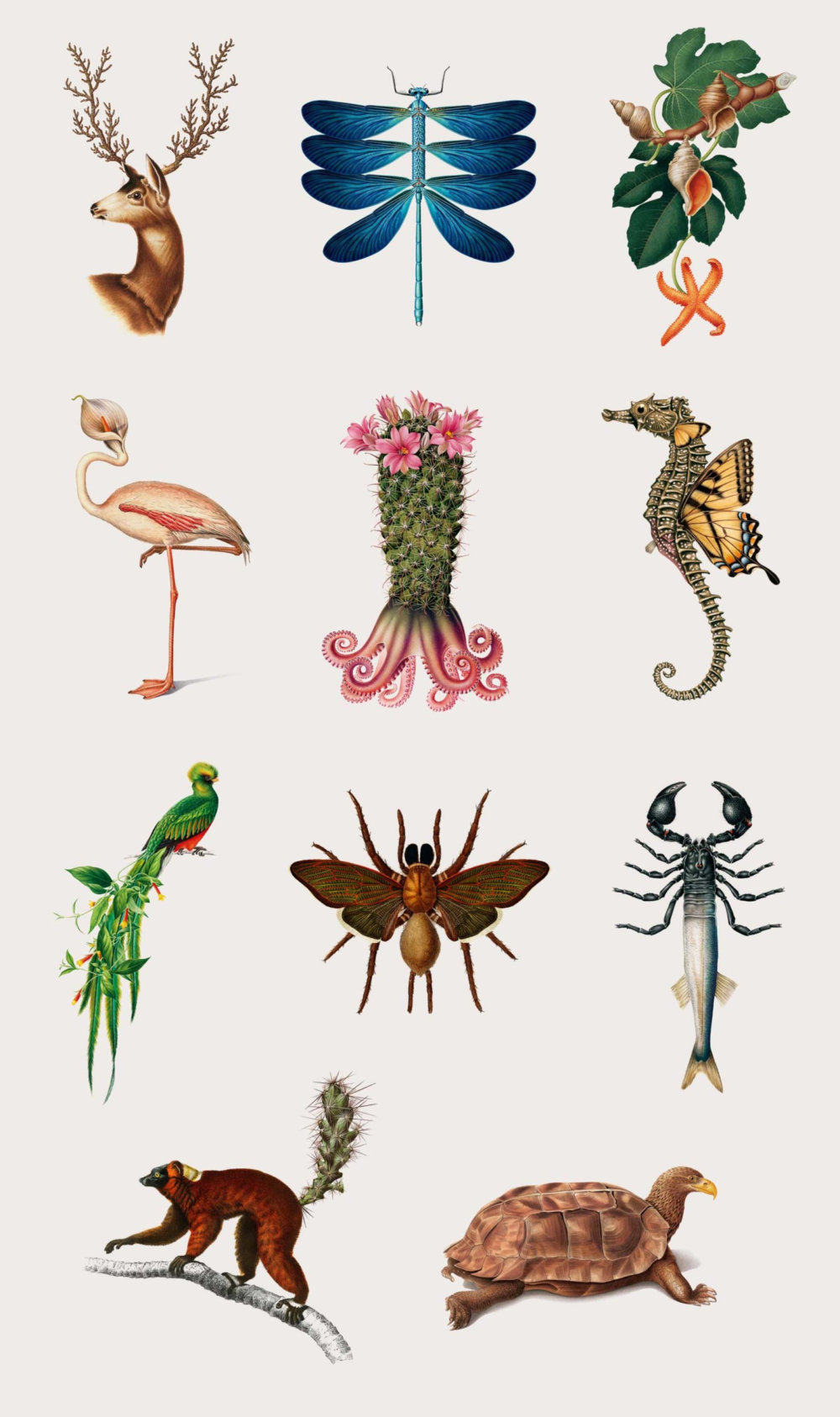 The Creative Specimens Hybrid Creatures Of Animals Insects And Plants In Lush Vintage Style Illustrations By Mark Brooks 8