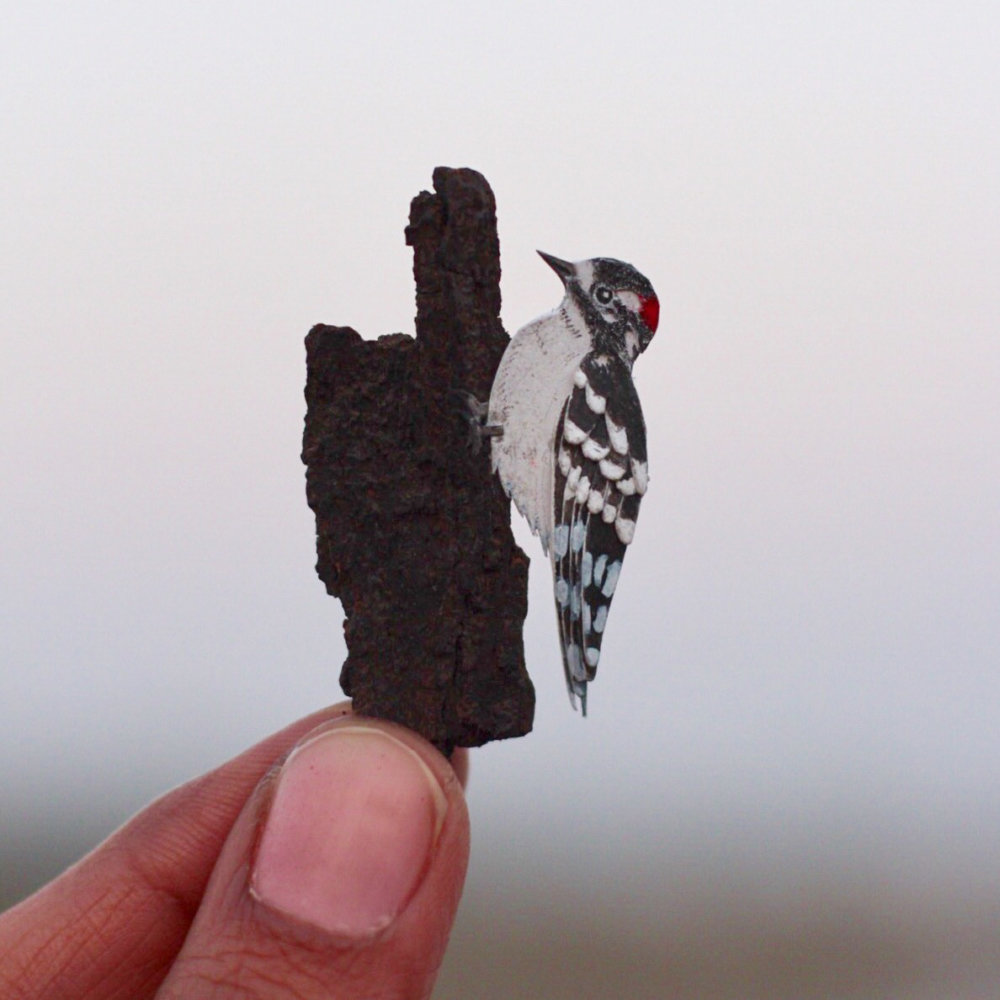 Awesome Bird Paper Cut Sculptures In Miniature By Vaishali Chudasama 23