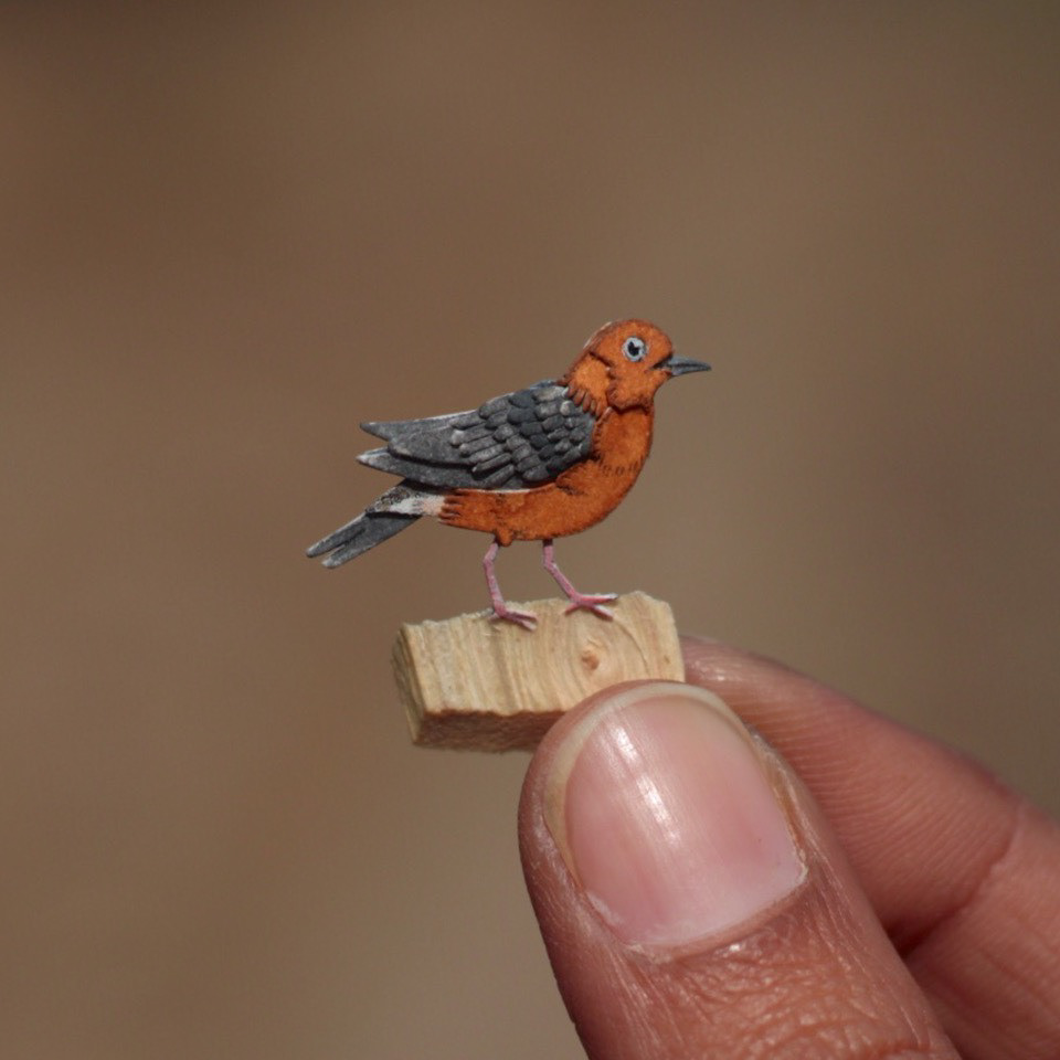 Awesome Bird Paper Cut Sculptures In Miniature By Vaishali Chudasama 28