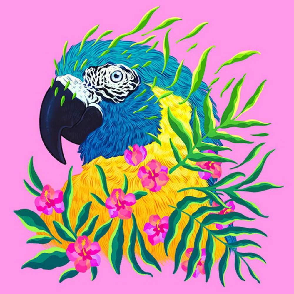 Attachment: Endangered Species Illustrations Of Adorned Animals In ...