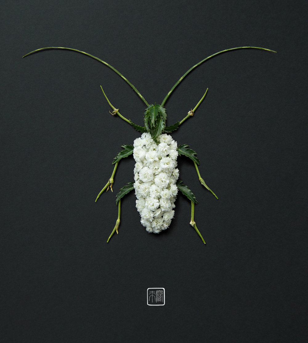 Petals And Stems Turned Into Animal Sculptures By Raku Inoue 4