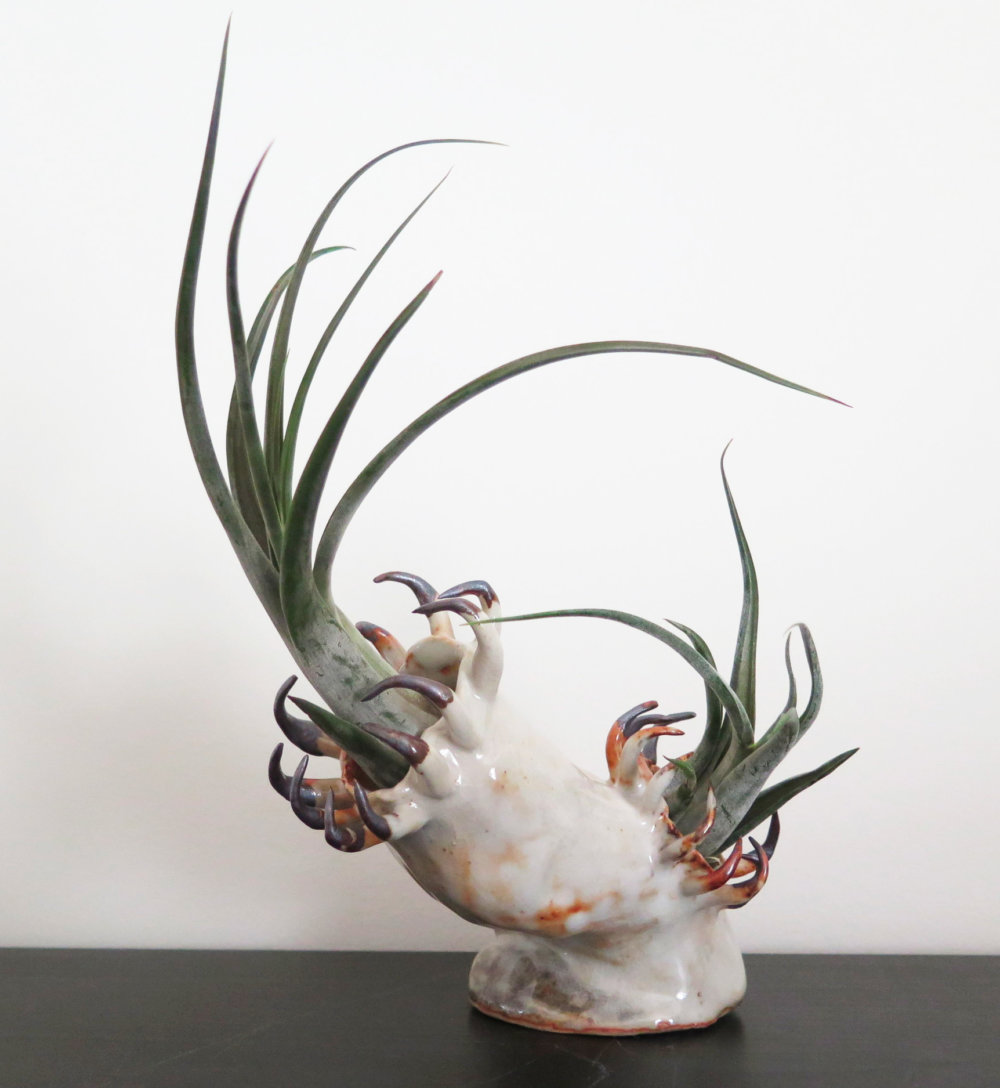 Teeth And Claws Otherworldly Ceramic Vessels By Gregory Knopp 1
