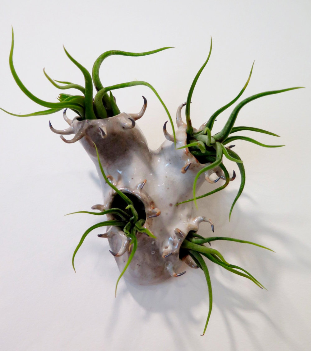 Teeth And Claws Otherworldly Ceramic Vessels By Gregory Knopp 5