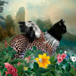The Day I visited Eden: gorgeous collages of cross-breed creatures by André Sanchez