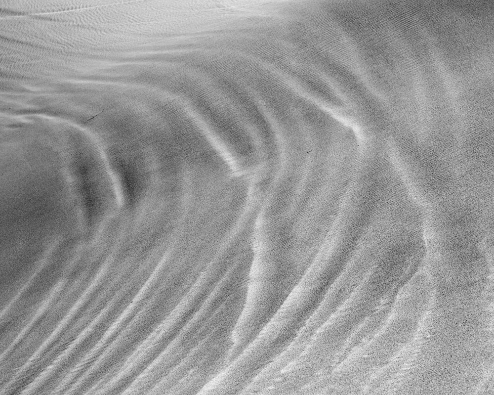 Dune Studies A Desert Photography Series By John Francis Peters 1