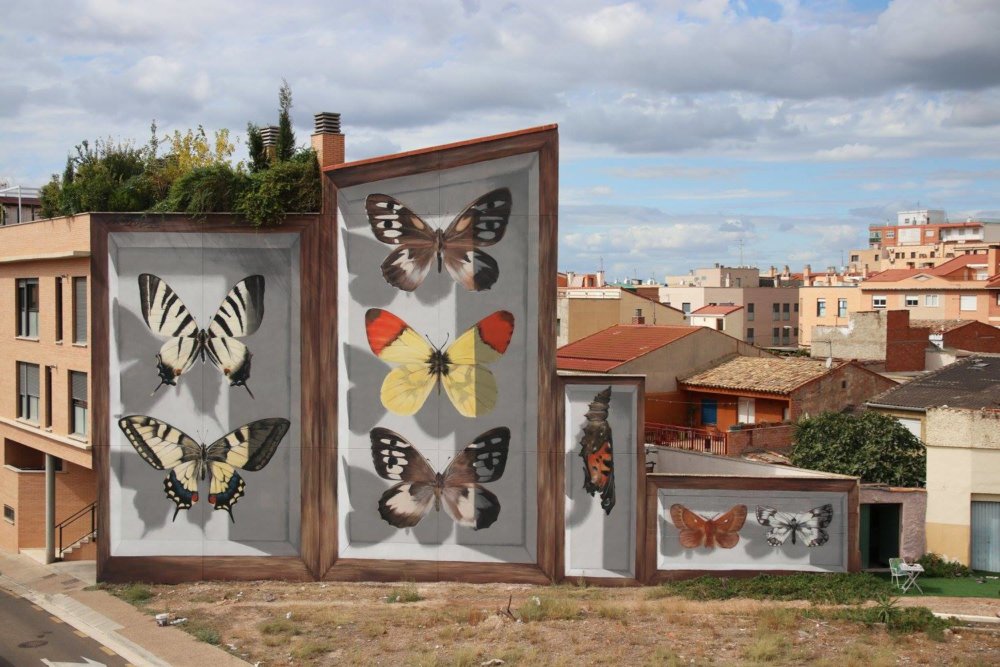 Giant 3d Photo Realistic Murals Of Butterflies By Mantra 10