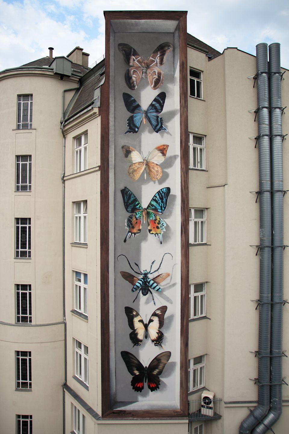Giant 3d Photo Realistic Murals Of Butterflies By Mantra 12