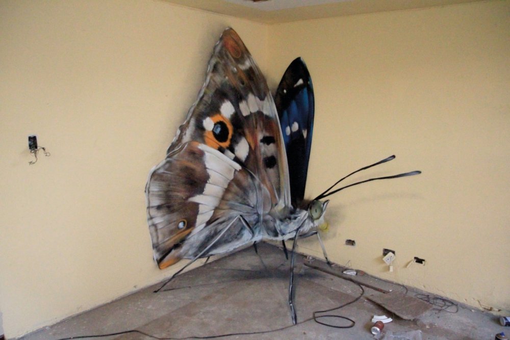Giant 3d Photo Realistic Murals Of Butterflies By Mantra 13