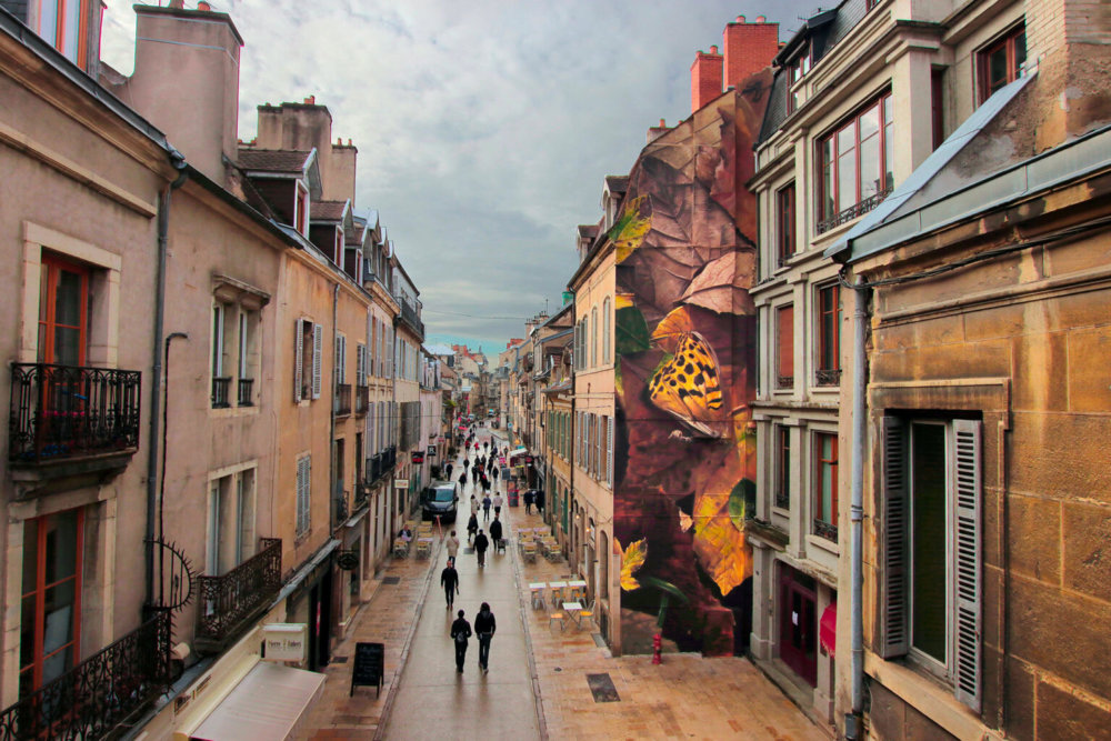 Giant 3d Photo Realistic Murals Of Butterflies By Mantra 15