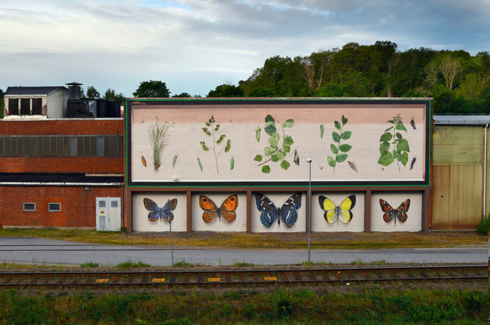 Giant 3d Photo Realistic Murals Of Butterflies By Mantra 17