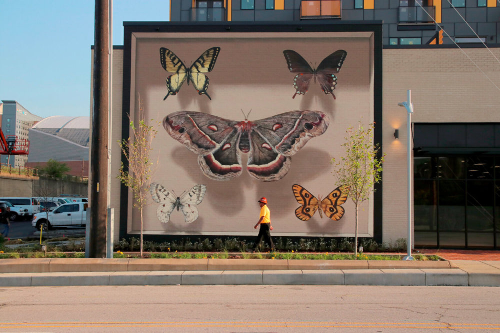 Giant 3d Photo Realistic Murals Of Butterflies By Mantra 18