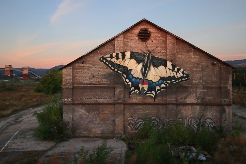 Giant 3d Photo Realistic Murals Of Butterflies By Mantra 3