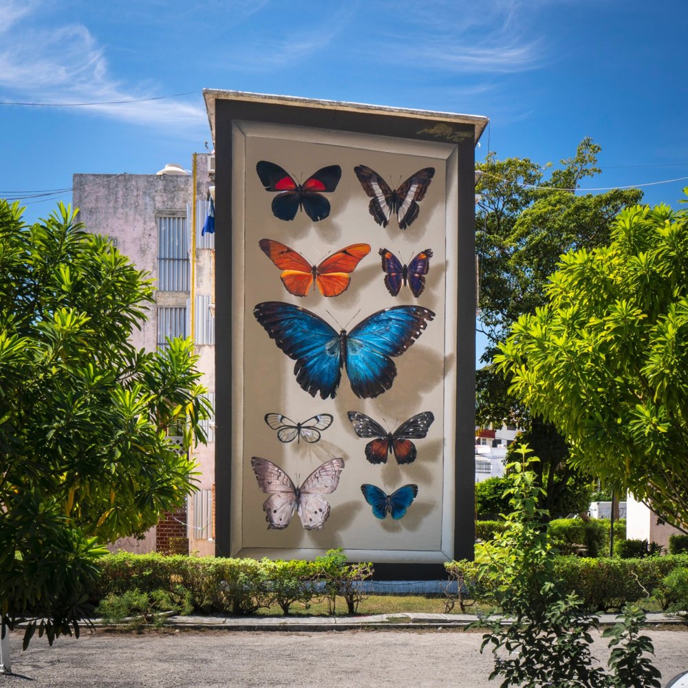 Giant 3d Photo Realistic Murals Of Butterflies By Mantra 5