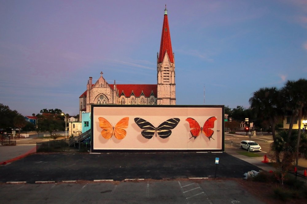 Giant 3d Photo Realistic Murals Of Butterflies By Mantra 6