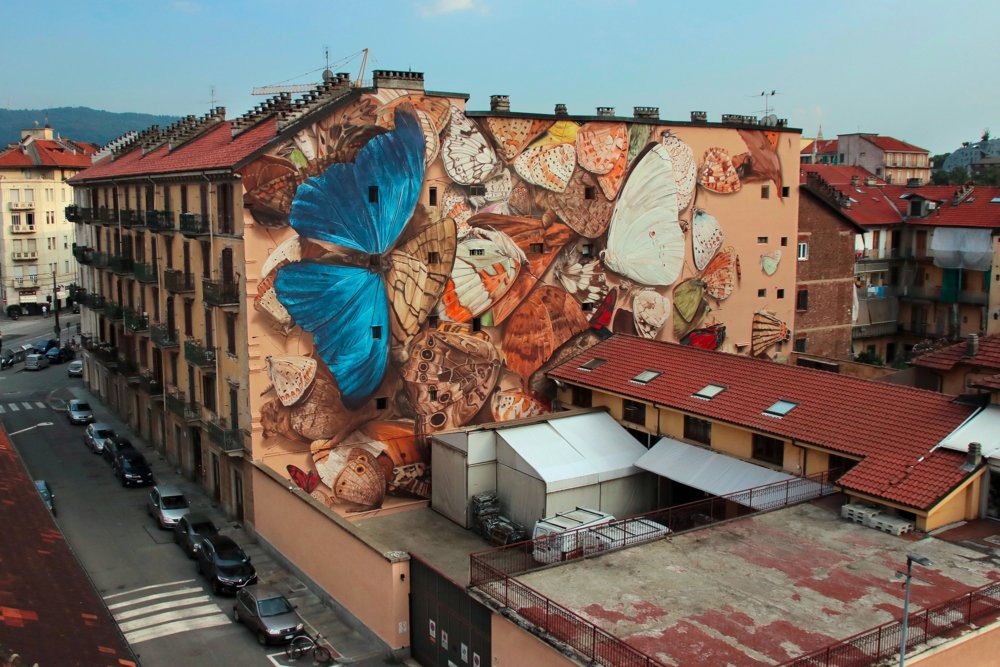 Giant 3d Photo Realistic Murals Of Butterflies By Mantra 8
