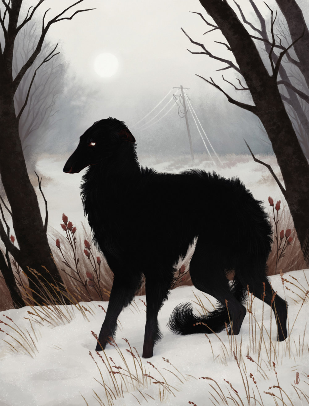 Mysterious And Shadowy Animal Illustrations By Jenna Barton 7
