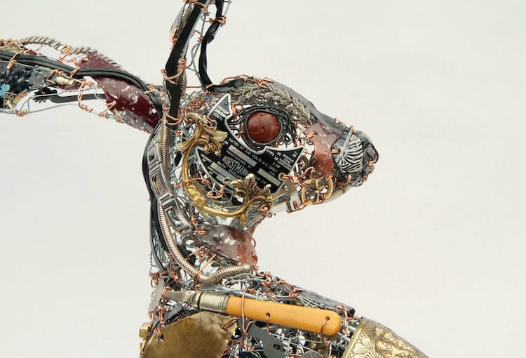 Scrap Metal And Discarded Objects Recycled Into Lifelike Animal Sculptures By Barbara Franc 12
