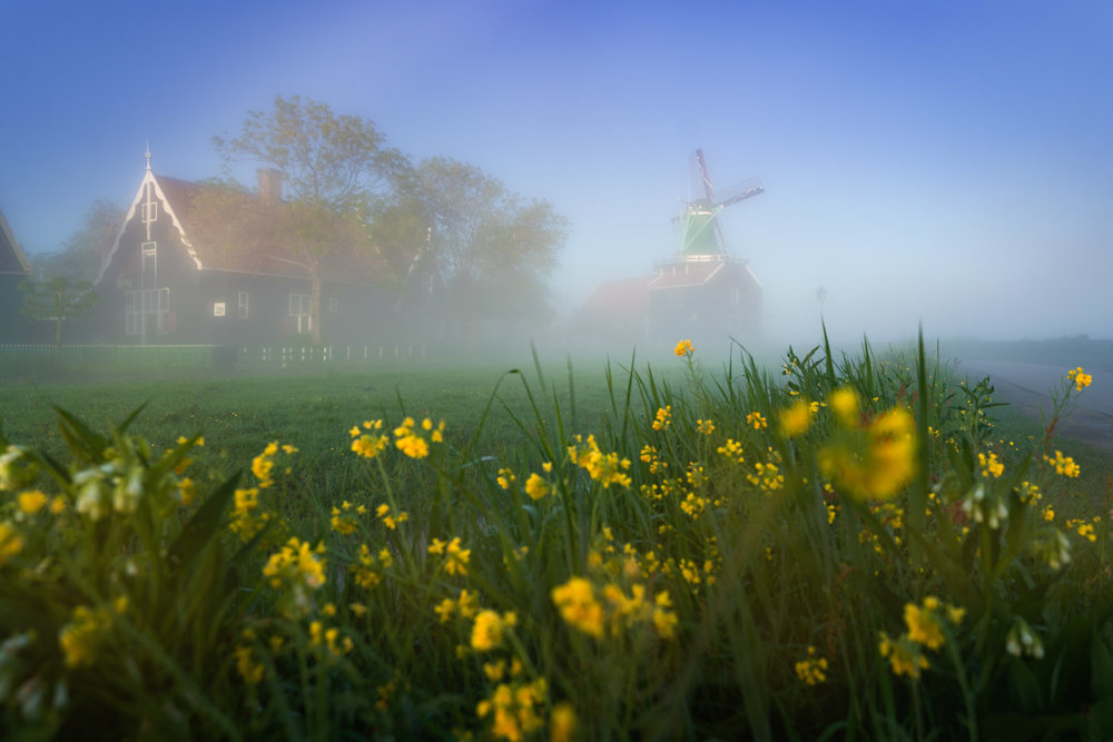 Magic Windmills Enchanting Dutch Landscapes In The Fog By Albert Dros 11