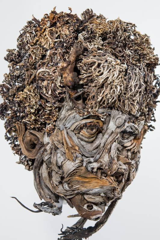 Amazing Head Sculptures Made Of Found Wood By Eyevan Tumbleweed 16